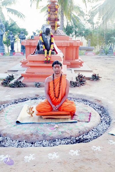 File:20101120IMG 9427 CMP WM0100.jpg