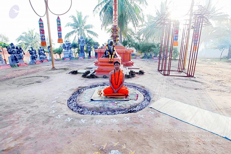 File:20101120IMG 9430 CMP WM0100.jpg