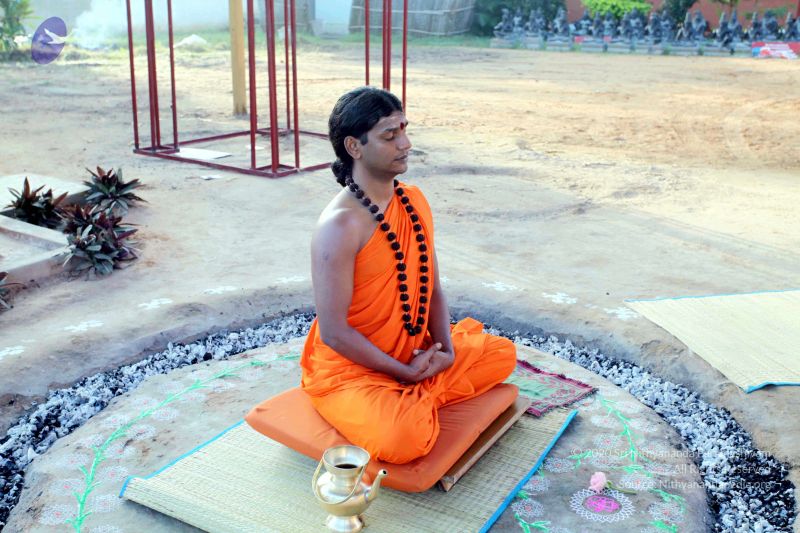 File:20101120IMG 9436 CMP WM0100.jpg