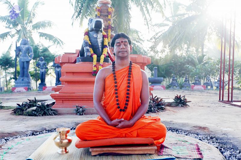 File:20101120IMG 9438 CMP WM0100.jpg