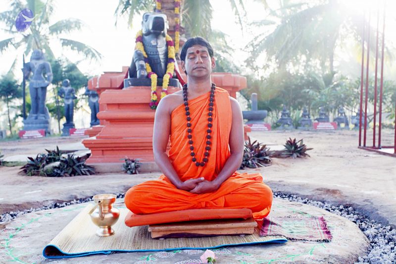 File:20101120IMG 9439 CMP WM0100.jpg