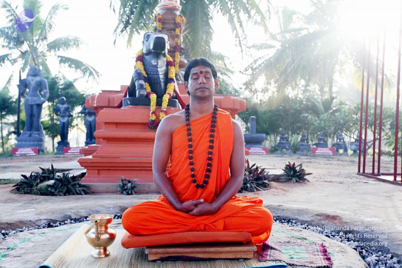 File:20101120IMG 9440 CMP WM0100.jpg