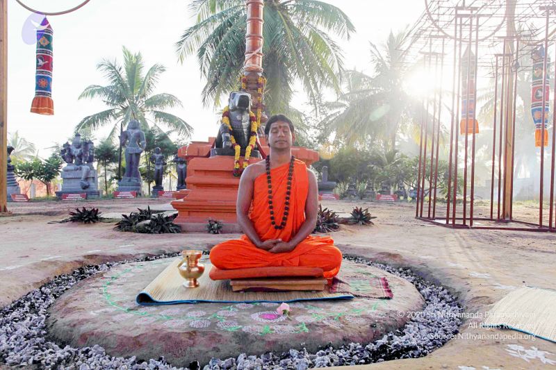 File:20101120IMG 9442 CMP WM0100.jpg