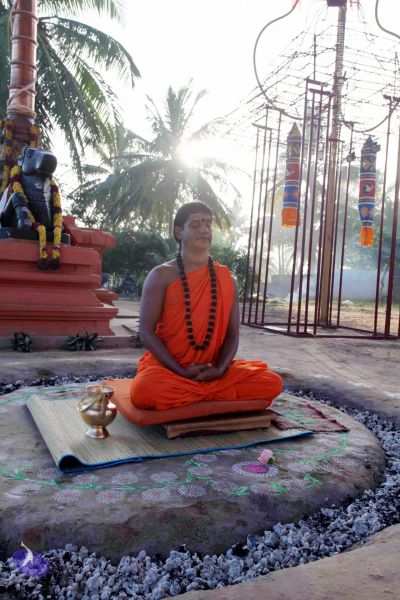 File:20101120IMG 9446 CMP WM0100.jpg