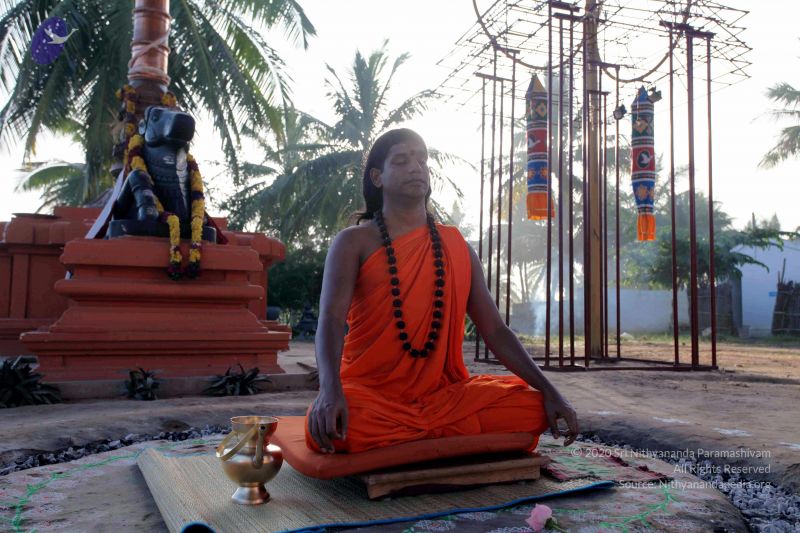 File:20101120IMG 9454 CMP WM0100.jpg