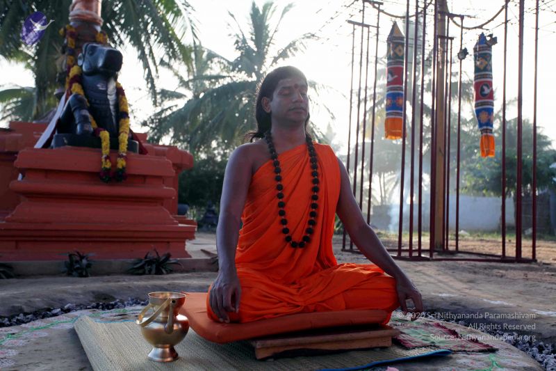 File:20101120IMG 9455 CMP WM0100.jpg