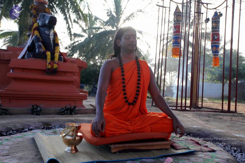 File:20101120IMG 9456 CMP WM0100.jpg