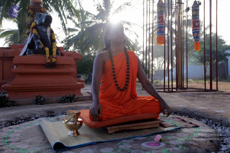 File:20101120IMG 9461 CMP WM0100.jpg