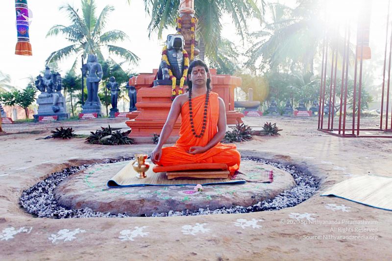 File:20101120IMG 9473 CMP WM0100.jpg