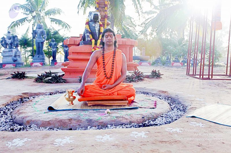 File:20101120IMG 9475 CMP WM0100.jpg