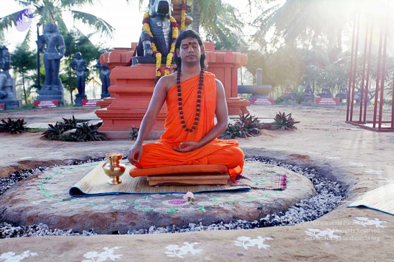 File:20101120IMG 9477 CMP WM0100.jpg