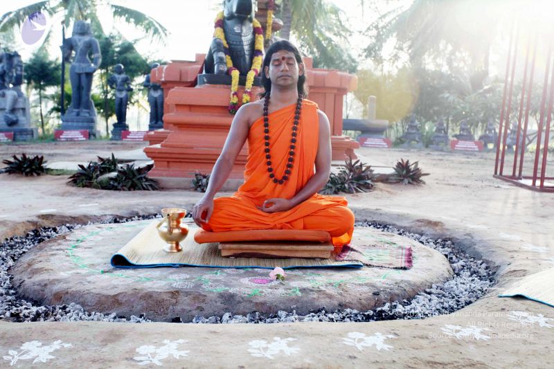 File:20101120IMG 9484 CMP WM0100.jpg