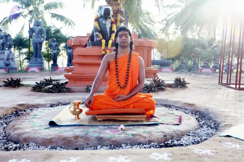 File:20101120IMG 9485 CMP WM0100.jpg