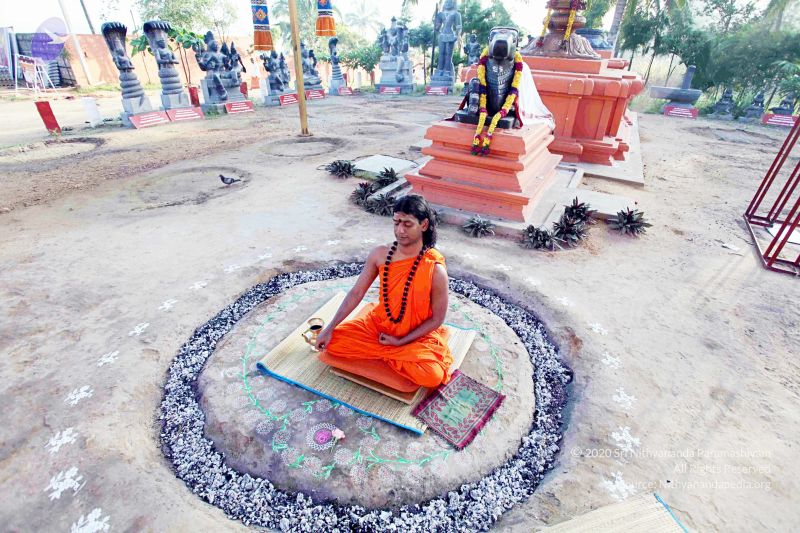 File:20101120IMG 9491 CMP WM0100.jpg