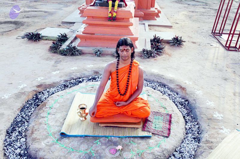 File:20101120IMG 9495 CMP WM0100.jpg