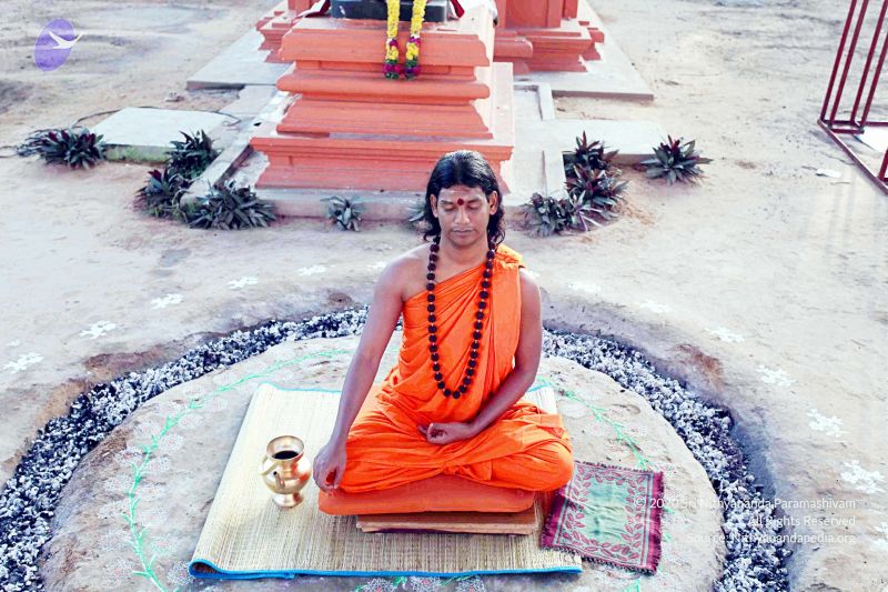 File:20101120IMG 9496 CMP WM0100.jpg