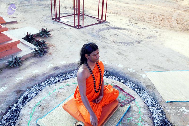 File:20101120IMG 9501 CMP WM0100.jpg