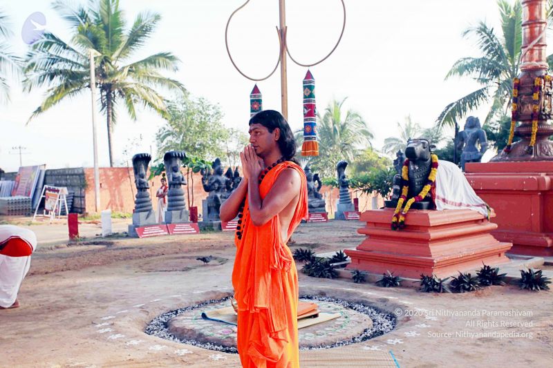 File:20101120IMG 9517 CMP WM0100.jpg