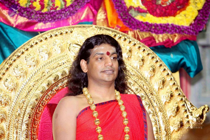 File:20101120IMG 9528 CMP WM0100.jpg