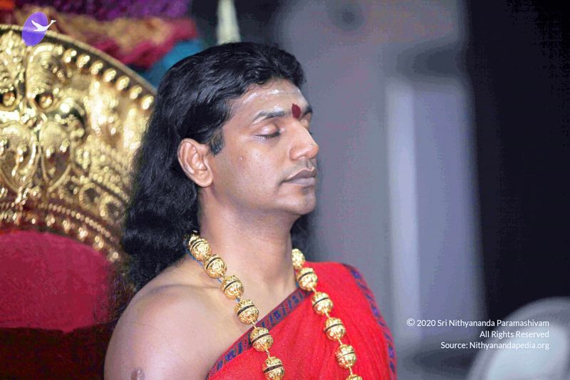 File:20101120IMG 9539 CMP WM0100.jpg