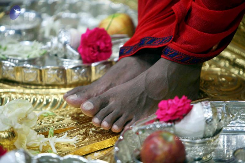 File:20101120IMG 9568 CMP WM0100.jpg