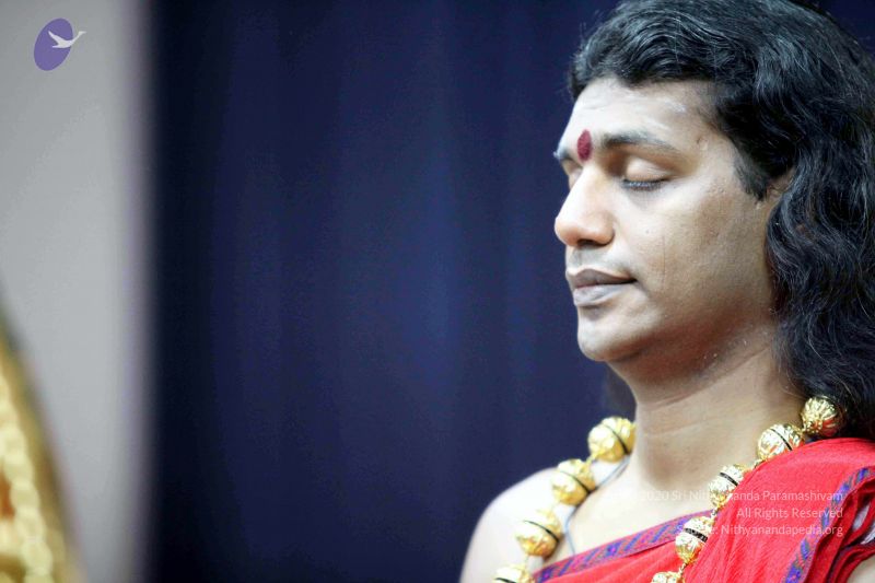 File:20101120IMG 9581 CMP WM0100.jpg