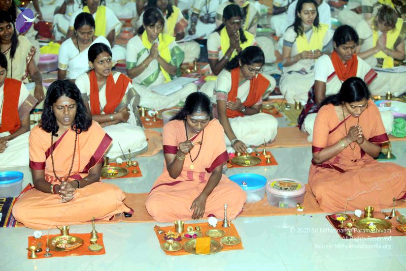 File:20101120IMG 9597 CMP WM0100.jpg