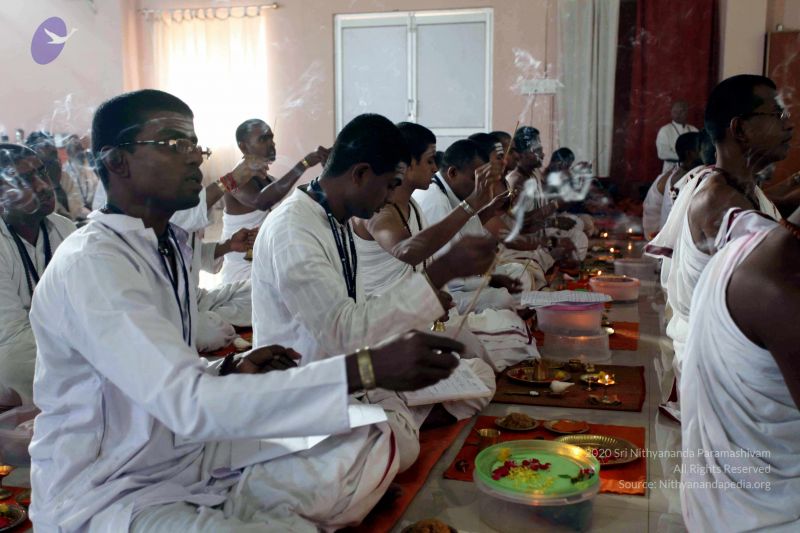 File:20101120IMG 9603 CMP WM0100.jpg