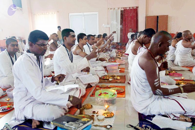 File:20101120IMG 9607 CMP WM0100.jpg