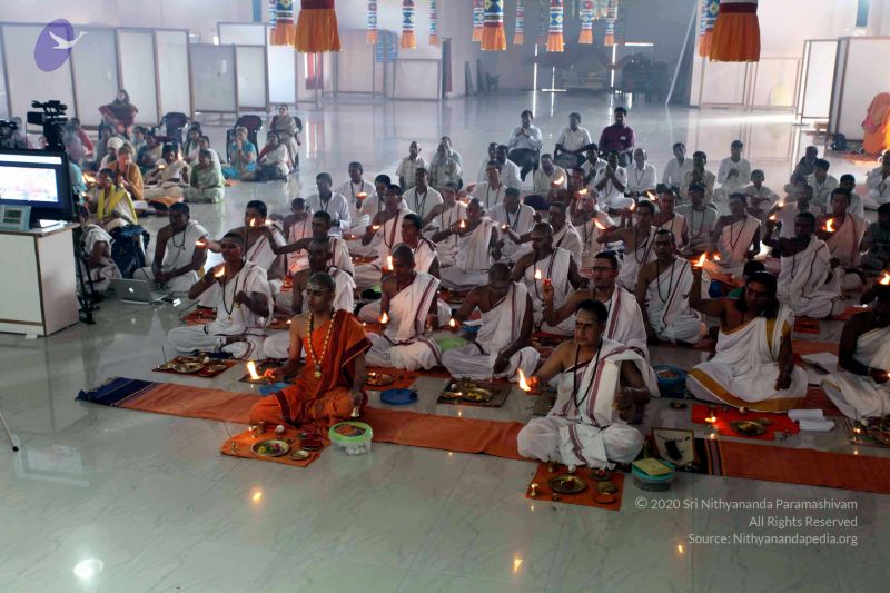 File:20101120IMG 9622 CMP WM0100.jpg