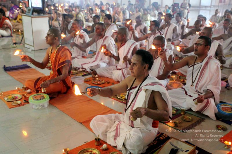 File:20101120IMG 9624 CMP WM0100.jpg