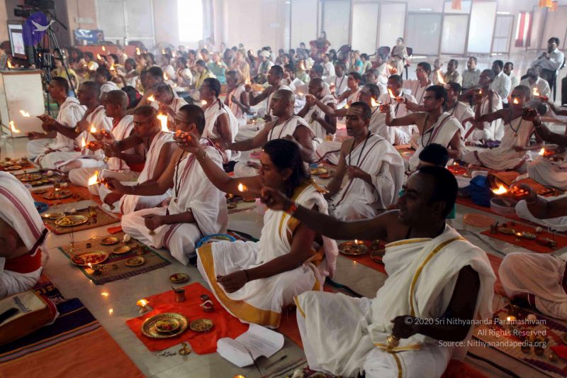 File:20101120IMG 9627 CMP WM0100.jpg