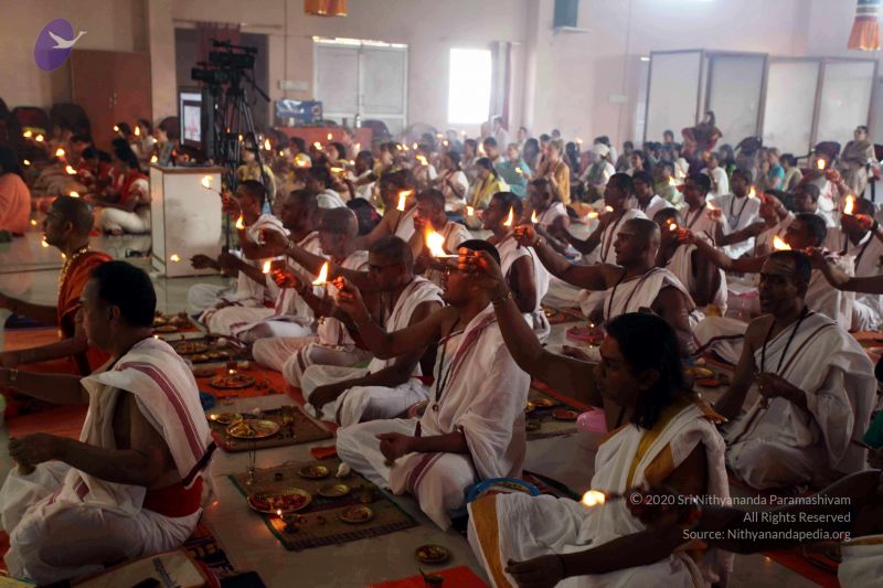 File:20101120IMG 9628 CMP WM0100.jpg