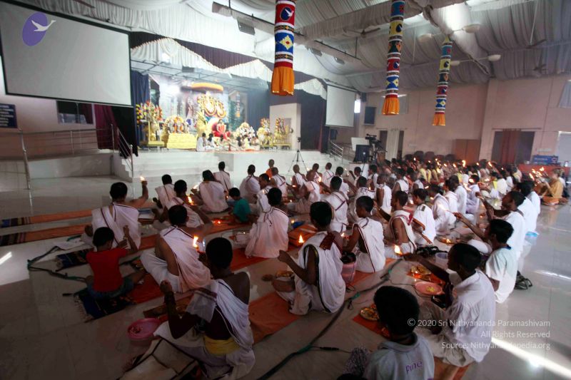 File:20101120IMG 9632 CMP WM0100.jpg