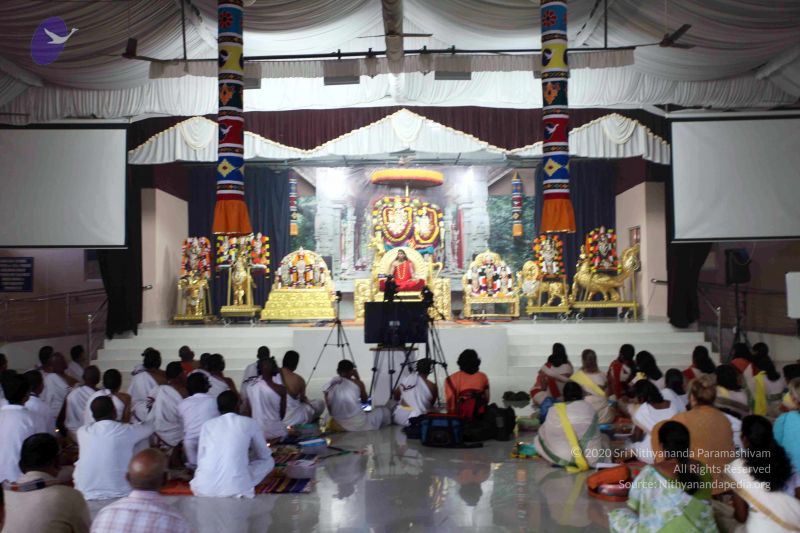 File:20101120IMG 9728 CMP WM0100.jpg