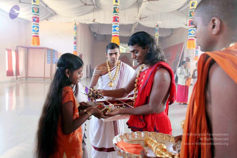 File:20101120IMG 9775 CMP WM0100.jpg