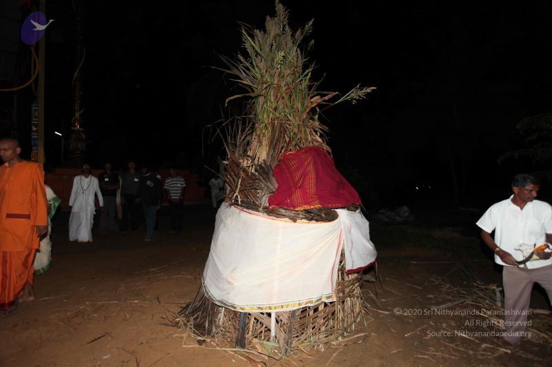 File:20101121 Photo 1612 1FBUFeMCEEam6umLlHJikQf54U3sayhKI.JPG