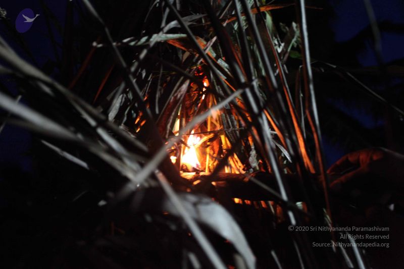 File:20101121 Photo 1633 1Bb14-o1oelH8fAIhdwXr1glKa6uMH6Ze.JPG