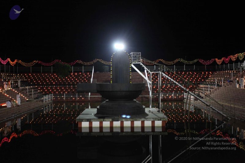 File:20101121 Photo 1872 1ODcDut8d6W2gQr4vGJDDpMAdFzlxOSfA.JPG