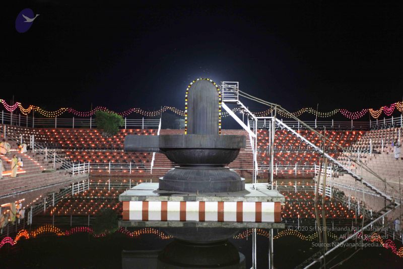 File:20101121 Photo 1880 1-4aFjllZzG9to6Z04zVbc8EkrijBOWFD.JPG