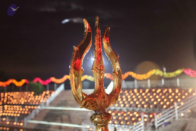 File:20101121 Photo 1904 10vugsCxrV7WXFuL3hj2yXhDLQAbEkV2z.JPG