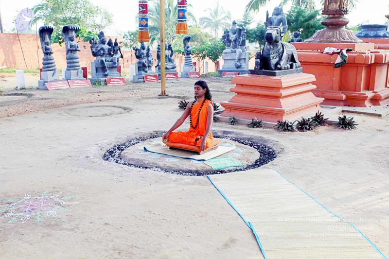 File:20101122IMG 1890 CMP WM1111.jpg