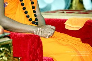 20101122IMG 1929 CMP WM1111.jpg