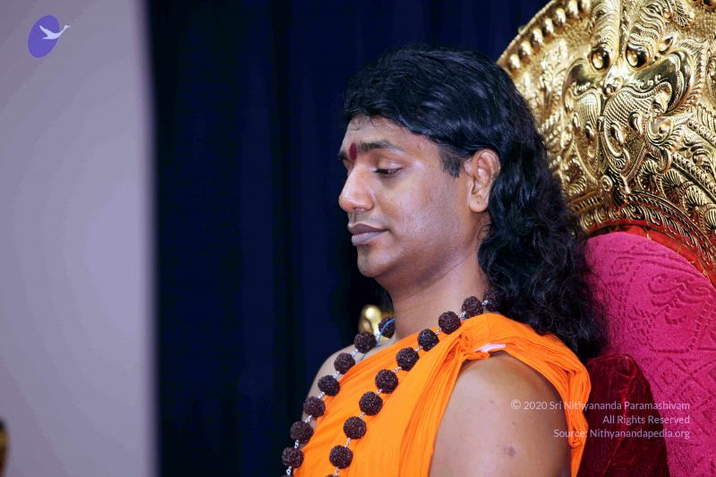 File:20101122IMG 1951 CMP WM1111.jpg