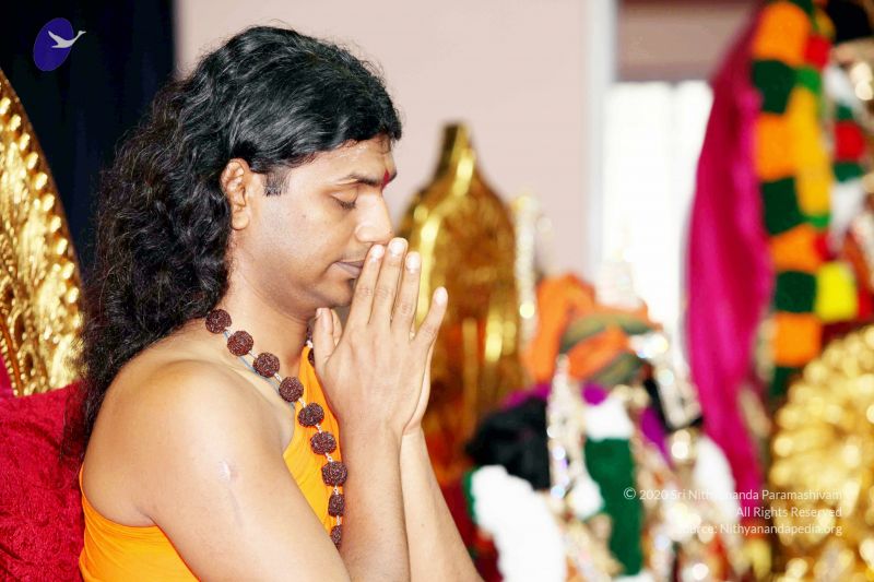 File:20101122IMG 1969 CMP WM1111.jpg