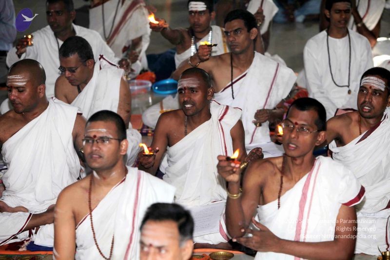 File:20101122IMG 1976 CMP WM1111.jpg