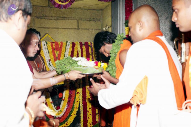 File:20101122IMG 2034 CMP WM1111.jpg