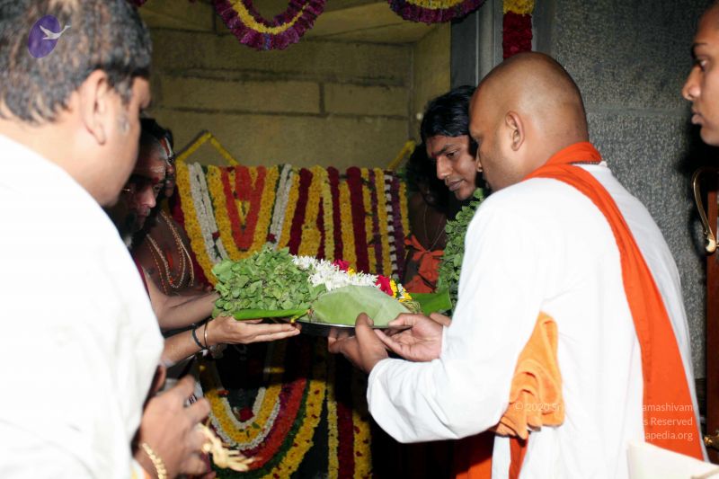 File:20101122IMG 2035 CMP WM1111.jpg