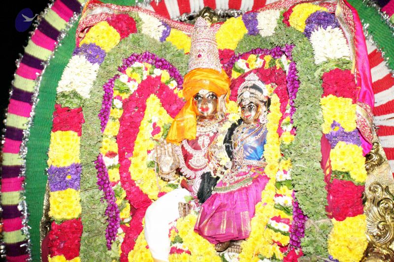 File:20101122IMG 2222 CMP WM1111.jpg