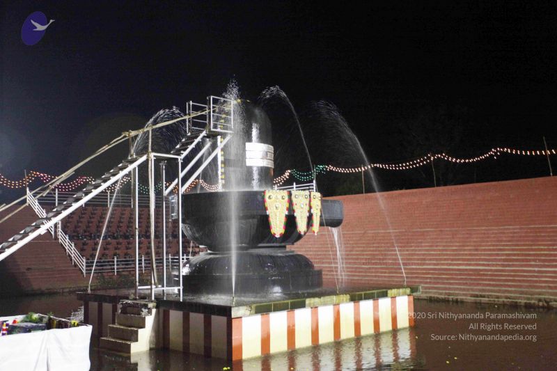 File:20101122IMG 2251 CMP WM1111.jpg